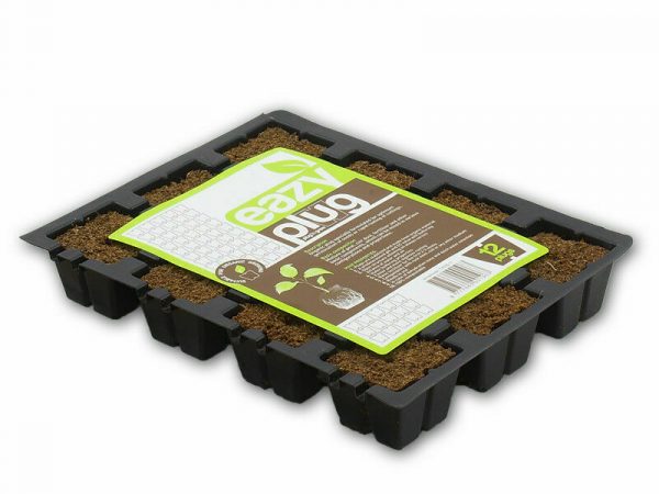 Eazy Plug Tray 12 Anzuchtwürfel 3,5 x 3,5